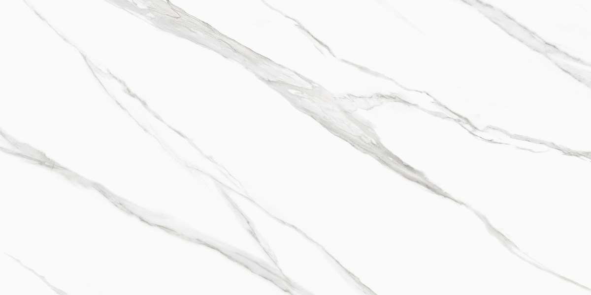 New Trend Life Calacatta  60x120 -3