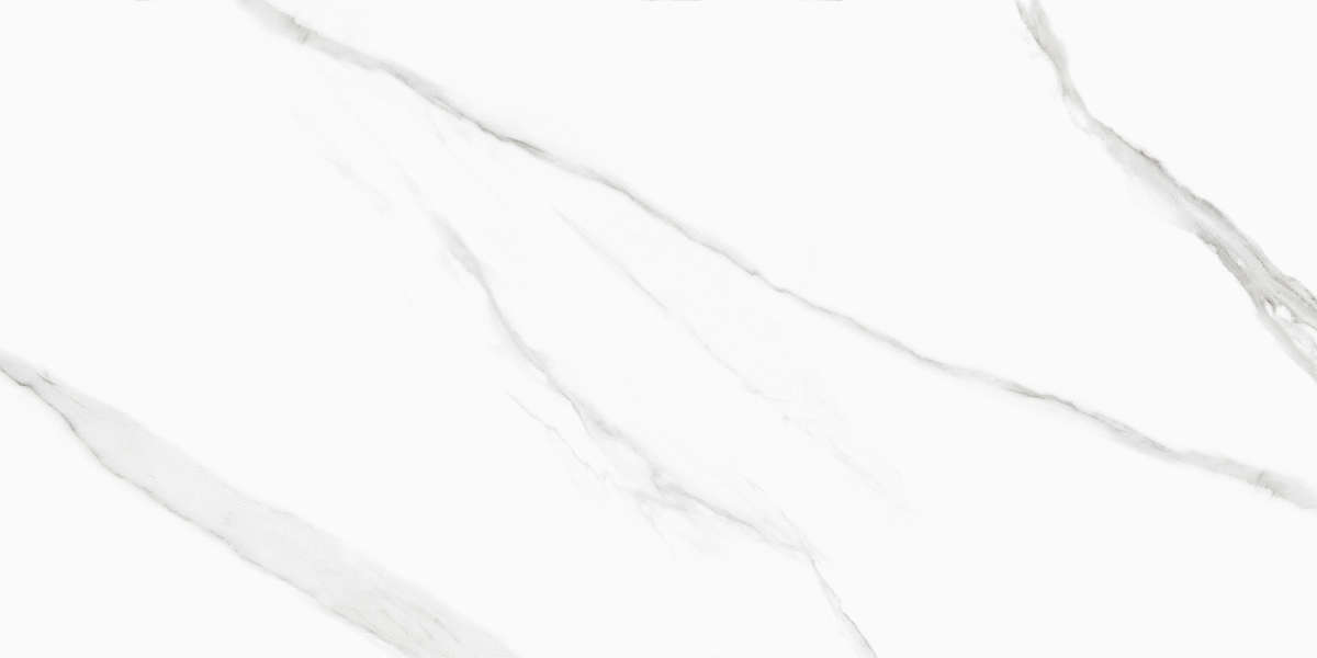 New Trend Life Calacatta  60x120 -4