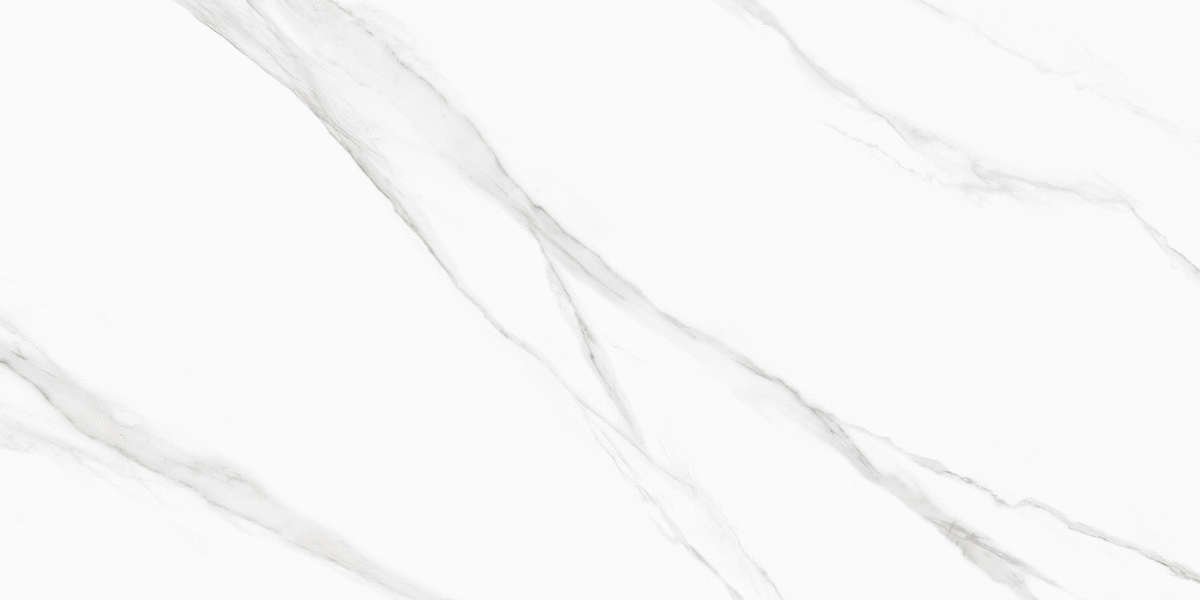 New Trend Life Calacatta  60x120 -5