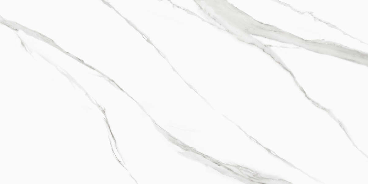 New Trend Life Calacatta  60x120 -6
