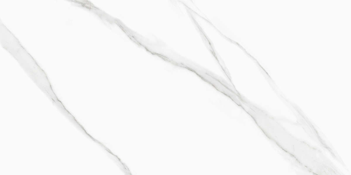 New Trend Life Calacatta  60x120 -7