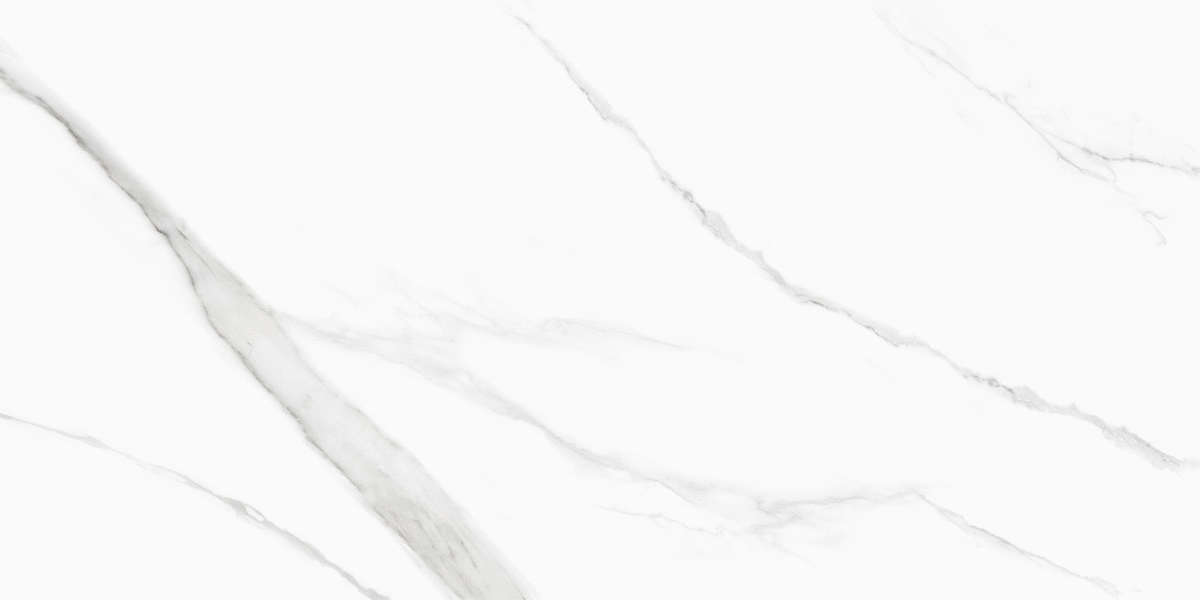 New Trend Life Calacatta  60x120 -8