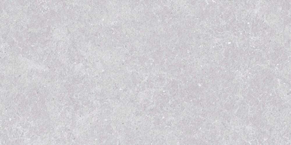 Light Gray Semi Polished 60x120 (1200x600)