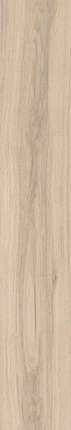 Ocean Ceramic 20x120 Eternity Beige  20x120