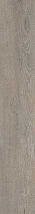 Ocean Ceramic 20x120 Sweden Natural  20x120