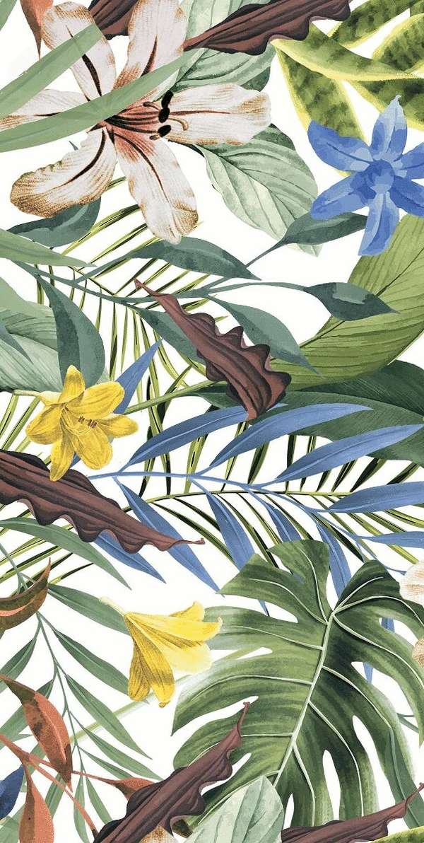 Tropical B Gem (  .) (600x1200)