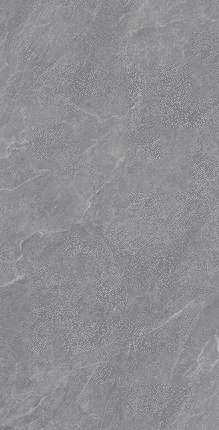 Ocean Ceramic 60x120 Carbonio Silver  60120