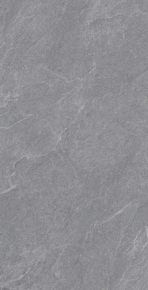 Carbonio Silver  60120 (600x1200)