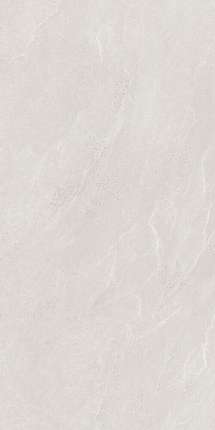 Ocean Ceramic 60x120 Carbonio White  60120
