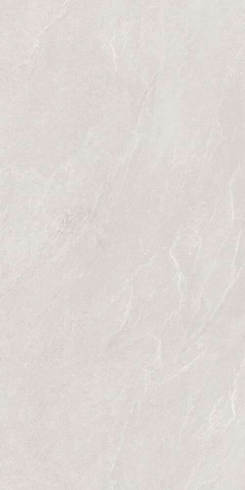 Carbonio White  60120 (600x1200)