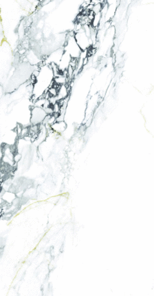 Ocean Ceramic 60x120 Element Calacutta  60120