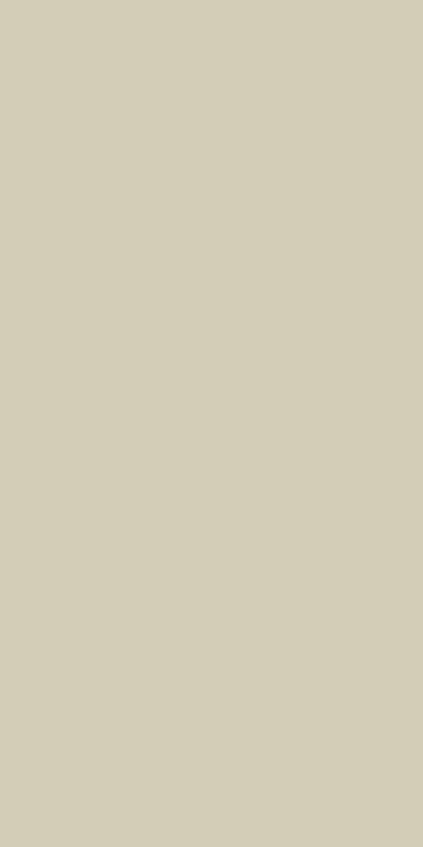 Exotic Crema  601204.8 (600x1200)
