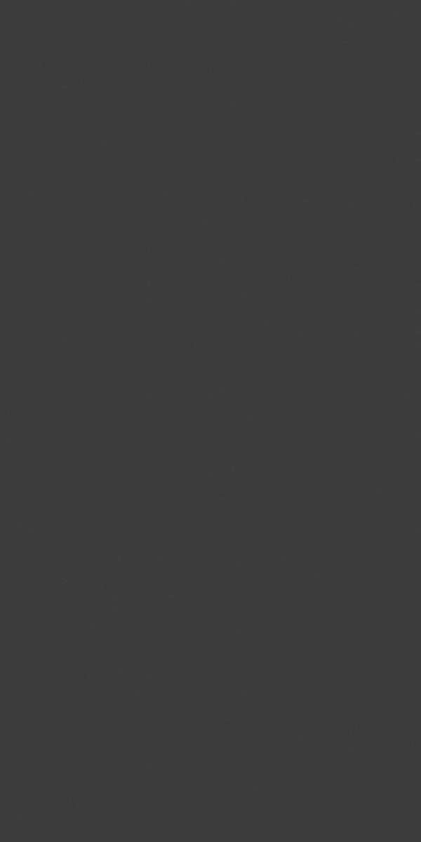 Exotic Dark Grey  601204.8 (600x1200)