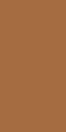 Ocean Ceramic 60x120 Exotic Light Brown  601204.8