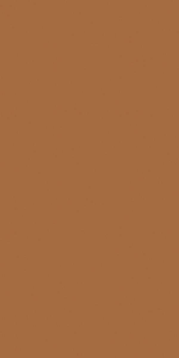 Exotic Light Brown  601204.8 (600x1200)