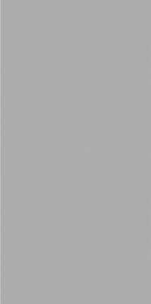 Ocean Ceramic 60x120 Exotic Light Grey  601204.8