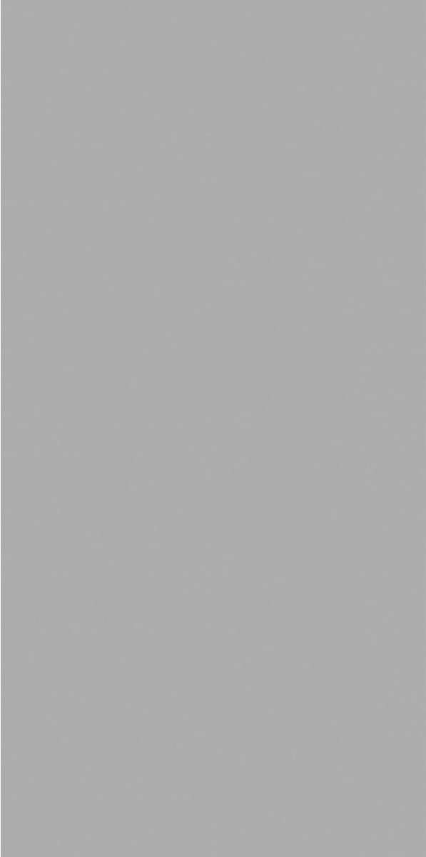 Exotic Light Grey  601204.8 (600x1200)
