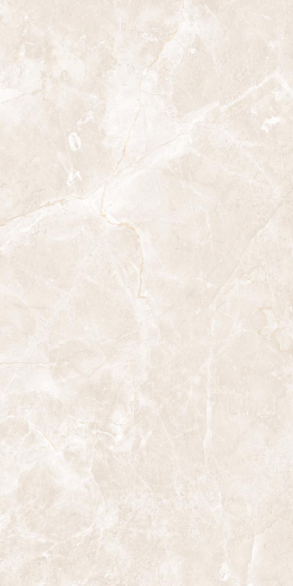 Georgio Crema  60120 (600x1200)