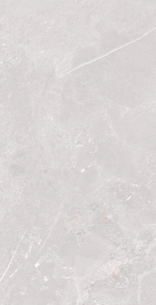 Ocean Ceramic 80x160 Element Amaranto Grey Matt  80160