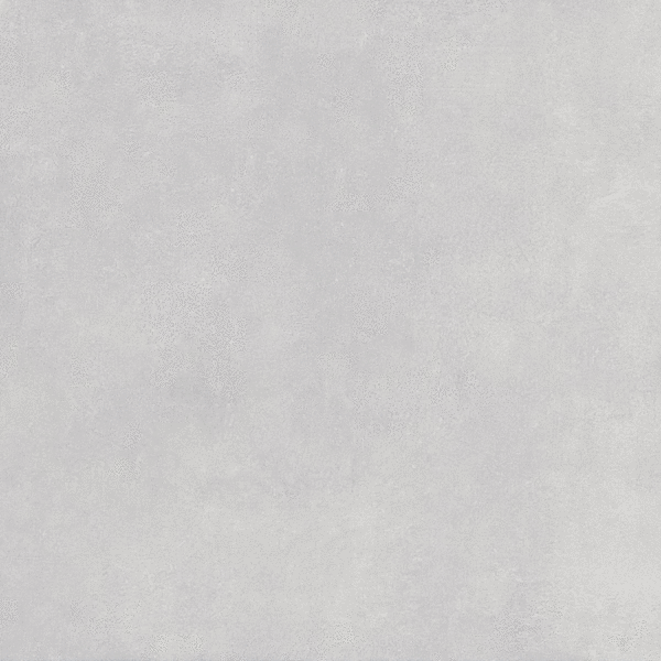 Light Gray 6060 (600x600)