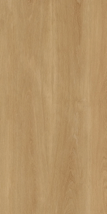 Protiles Albero Beige Matt 9mm 60x120