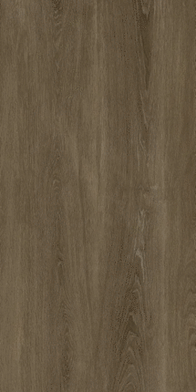 Protiles Albero Grey Matt 9mm 60x120