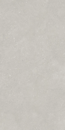 Protiles Pietra Light Grey Matt 9mm 60x120