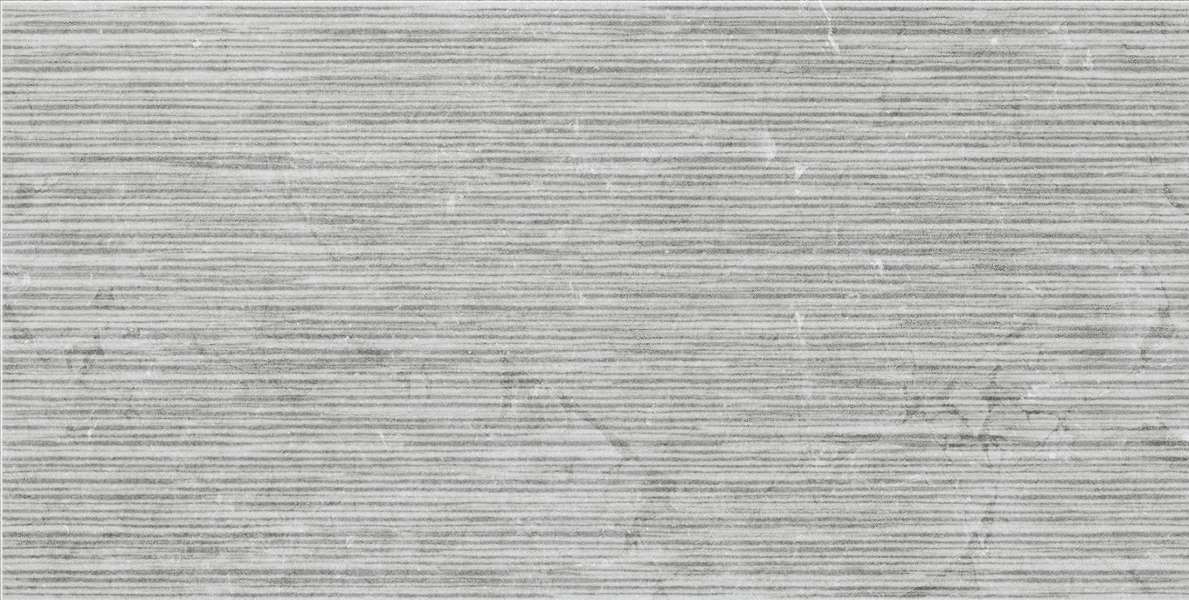 Rlv. Gray MT Rect 60x120 (1200x600)