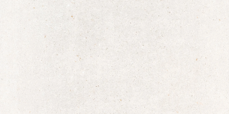 Pamesa Core Mix White MT Rect 60x120