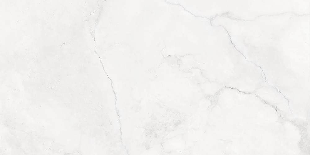 White Mate Rec 60x120 (1200x600)