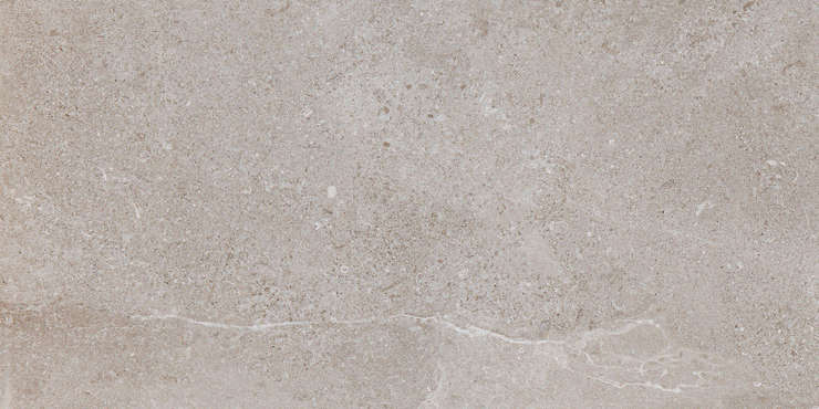 Pamesa Erding Es. Ash Luxglass 60x120