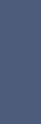 Paradyz Nightwish Blue Rekt