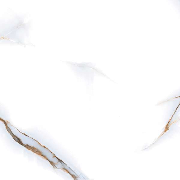 Pardis Ceramic Pazh Barcelon 166295 Polished 60x60 -5