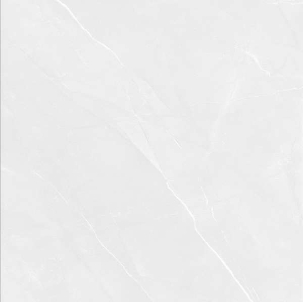 Pardis Ceramic Pazh Fluorite 166513 Polished 60x60 -3