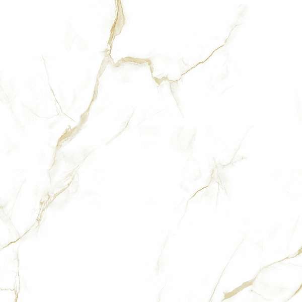 Pardis Ceramic Pazh Helion 16604 Polished 60x60 -4