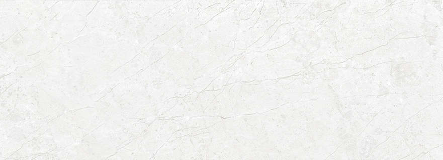 White (900x320)