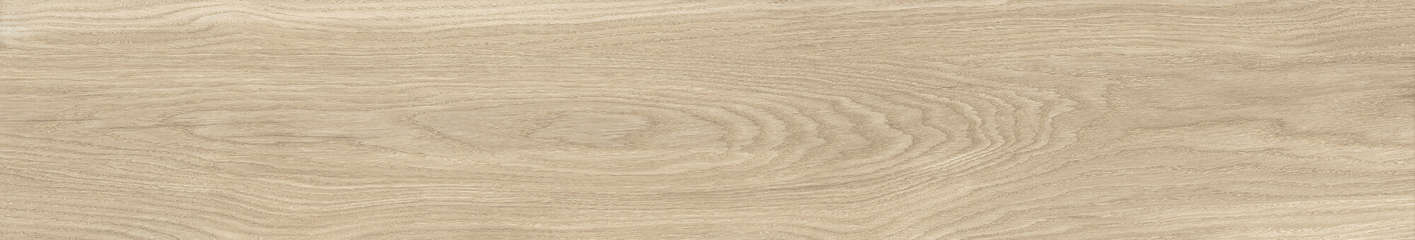 Dune Sp 24151x0.9 (1510x240)