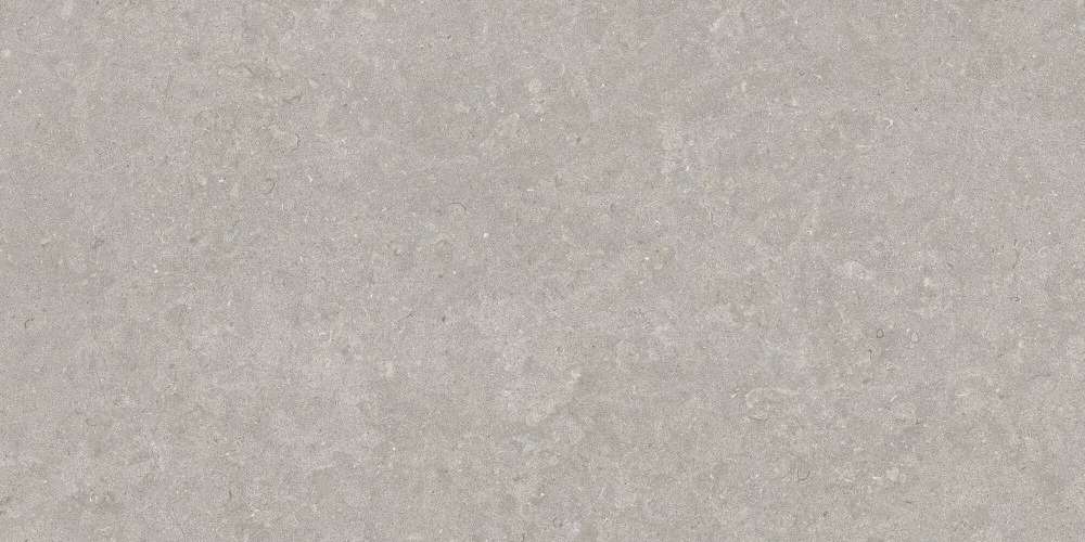 Grey AS BN-116 (1200x600)