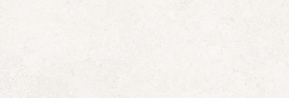 White/33.3x100x0.86/R 33.3x100 (1000x333)