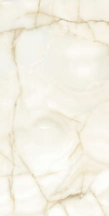 Persian Tile Amadora Polished 60x120