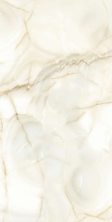 Persian Tile Amadora Polished 60x120 -4