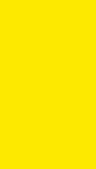 Желтая (200x330)