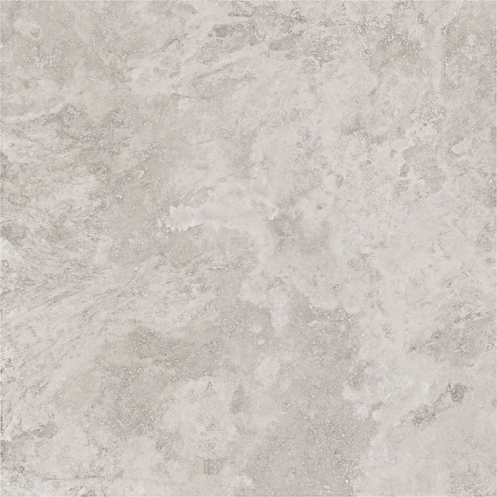 Porcelanite Dos Rapolano 1867 Grey Rect. 100x100 -4