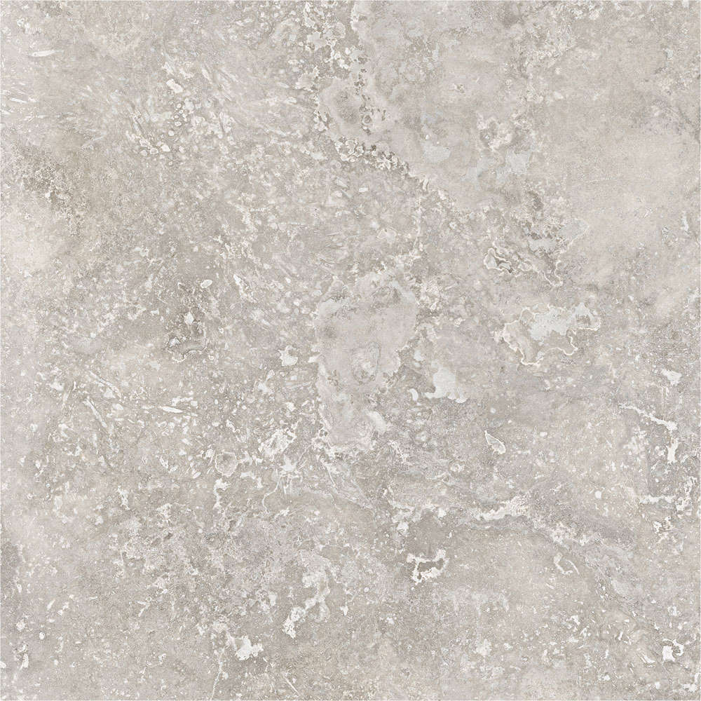 Porcelanite Dos Rapolano 1867 Grey Rect. 100x100 -11