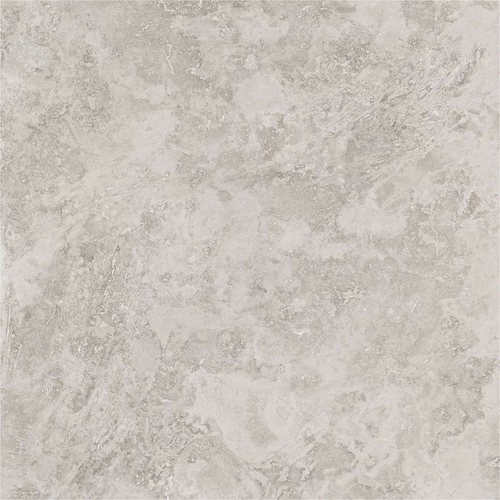 Porcelanite Dos Rapolano 1867 Grey Rect. 100x100 -14