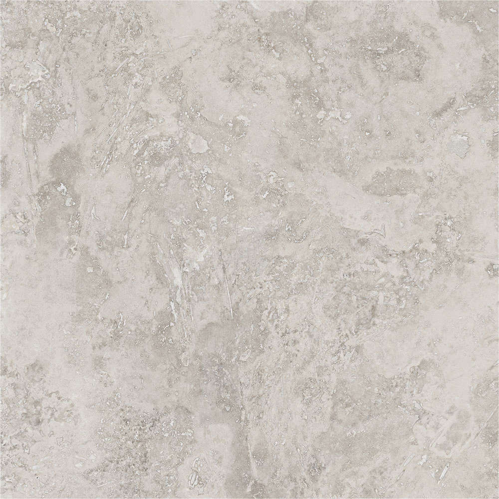 Porcelanite Dos Rapolano 1867 Grey Rect. 100x100 -16