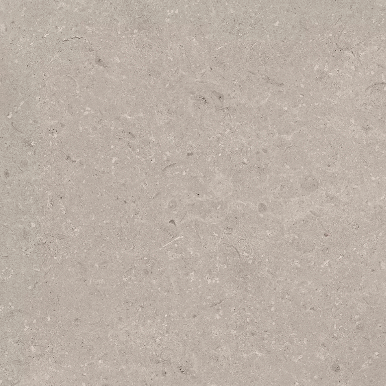 Porcelanosa Coral Topo L 80x80 ����-2