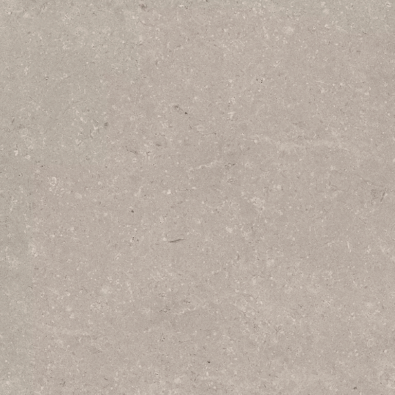 Porcelanosa Coral Topo L 80x80 ����-6
