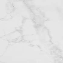 Carrara Blanco Brillo L 59,6x59,6(A) (596x596)