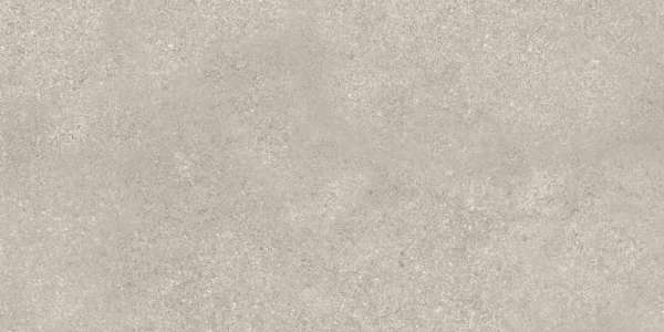 Grey 120x60 Матовый (1200x600)